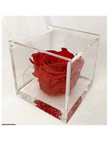 Rose éternelle tête en cube...